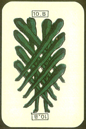 Tarocco Siciliano (Concetta Campione)