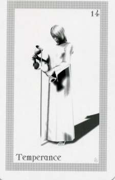 ShadowFox Tarot by Richard ShadowFox