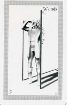 ShadowFox Tarot by Richard ShadowFox