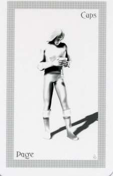 ShadowFox Tarot by Richard ShadowFox