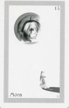 ShadowFox Tarot by Richard ShadowFox