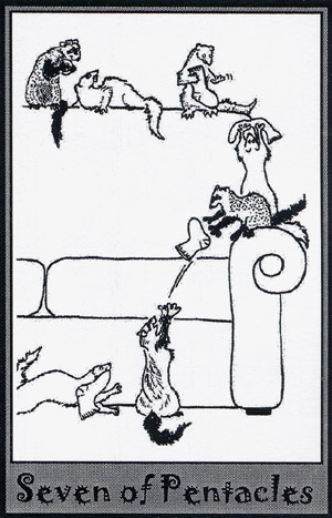 The Ferret Tarot
