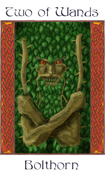 The Giants' Tarot by Raven Kaldera