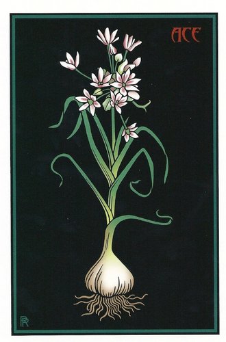 The Vampire Tarot by Robert M. Place