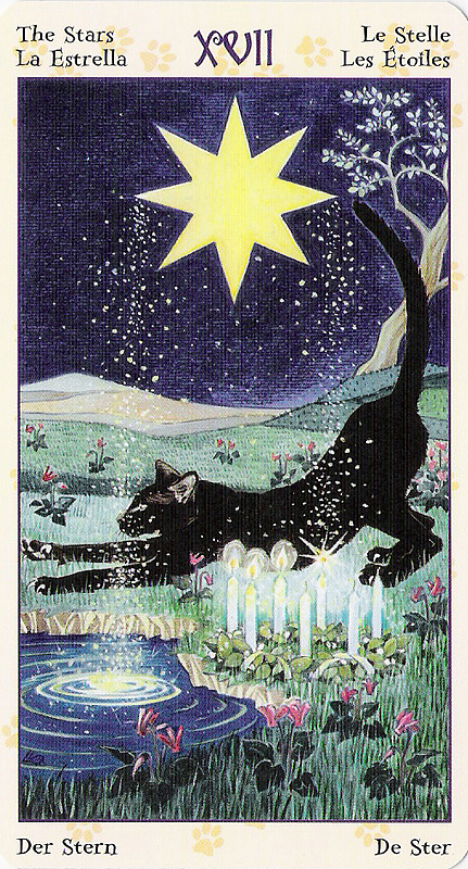Tarot of Pagan Cats