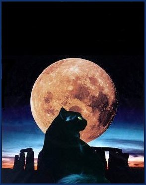 Full Moon Dreams Tarot