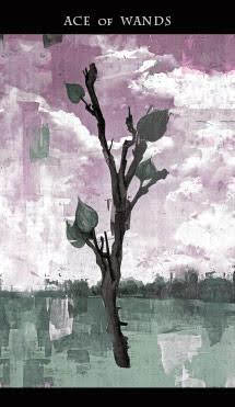 Darkness of Light Tarot