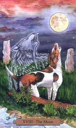 Magical Dogs Tarot - Таро Волшебных Собак