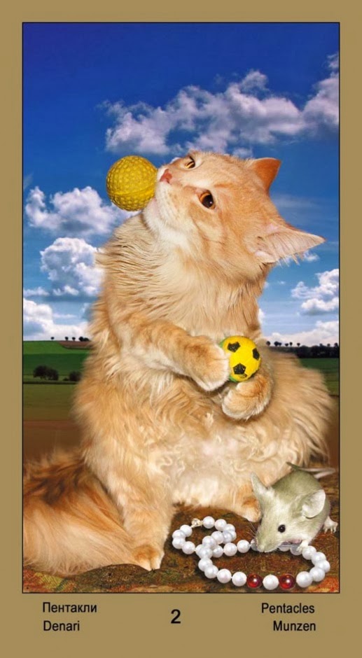 Таро Катавасия (Tarot Cat-A-Vasya)
