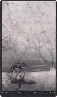 The Black Tarot By Victoria Iva