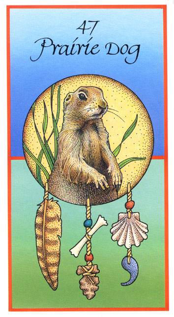 Medicine Cards - Целительные Карты