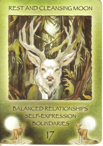 Spirit Of The Wheel Meditation Deck