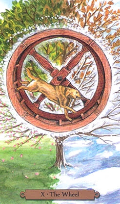 Magical Dogs Tarot - Таро Волшебных Собак