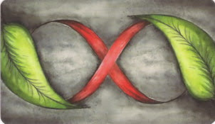 Bonestone and Earthflesh Tarot