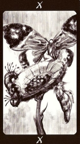 Tarot of the Secret Forest