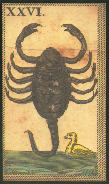 Minchiate Fiorentine tarot