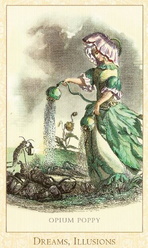 Victorian Flower Oracle