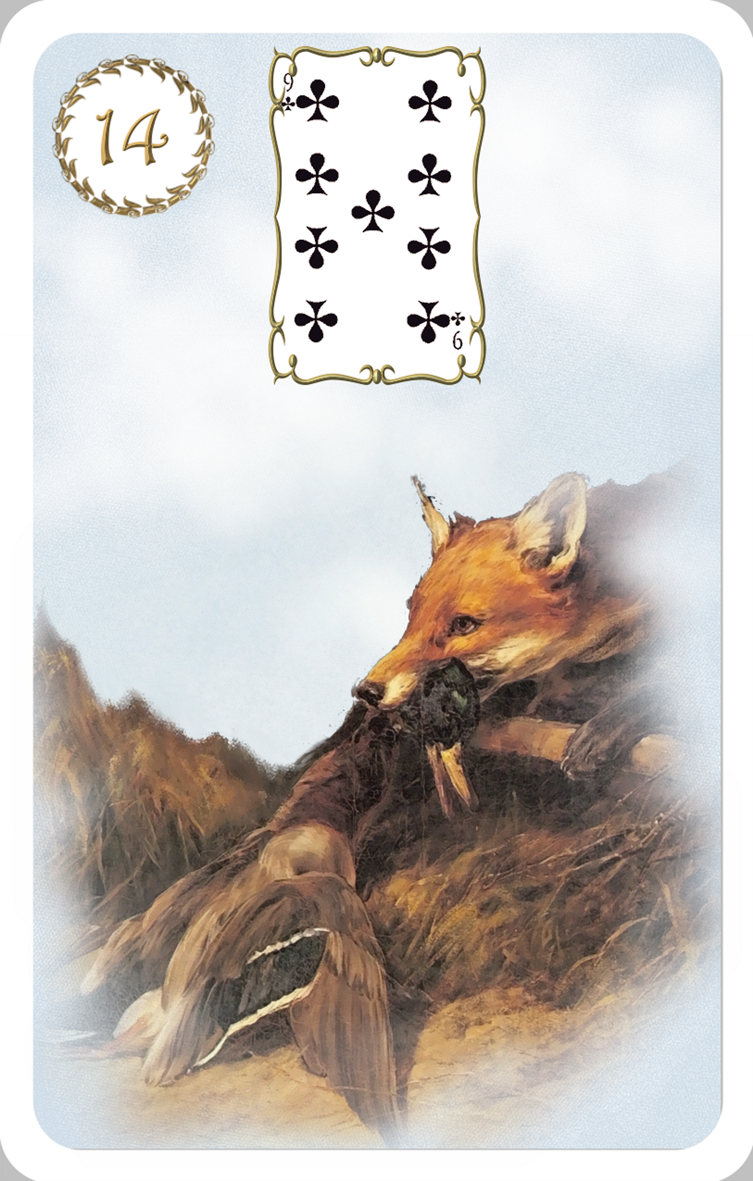Alone΄s Vision Lenormand Cards