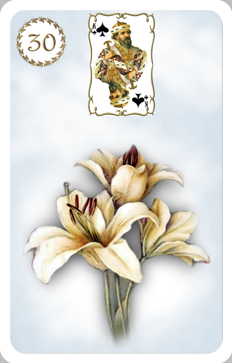 Alone΄s Vision Lenormand Cards