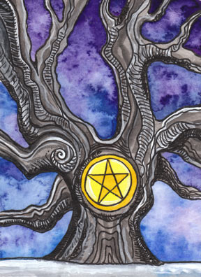 Tarot of Trees by Dana Driscoll