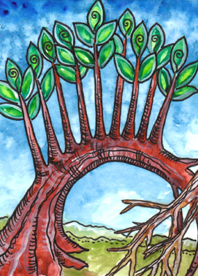 Tarot of Trees by Dana Driscoll