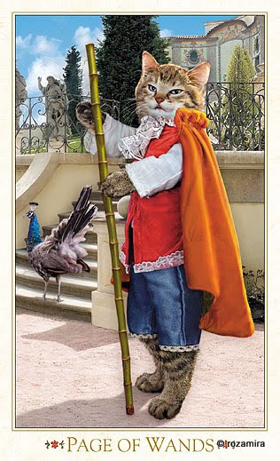 Baroque Bohemian Cats’ Tarot, 2011