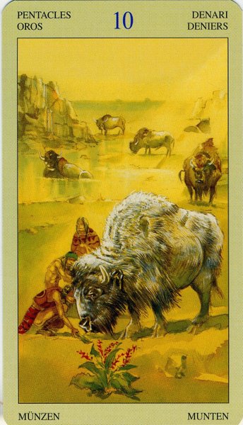 Native American Tarot by Laura Tuan