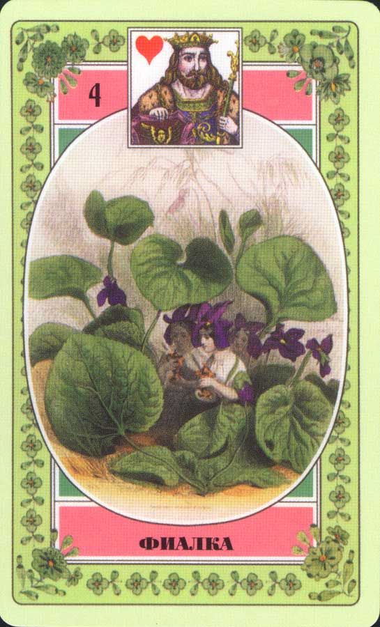 Гадательный оракул цветов мадемуазель Ленорман