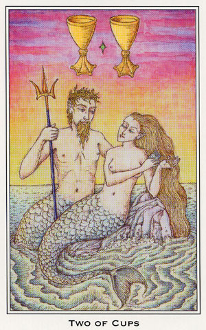 Medieval Enchantment: Nigel Jackson Tarot