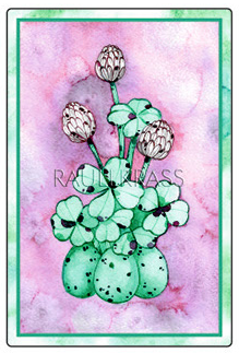 Оракул Ленорман Изумрудные Птицы