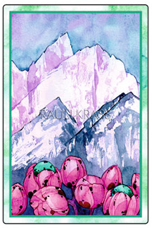 Оракул Ленорман Изумрудные Птицы