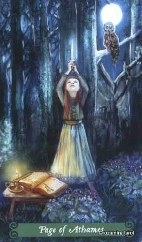 Таро Зелёной Ведьмы