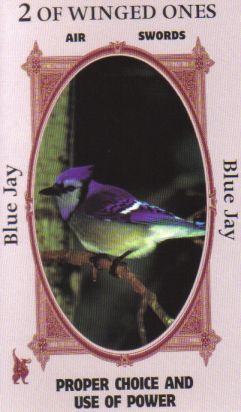Animal Wise Tarot