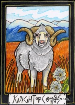 New Zealand Naturally Tarot