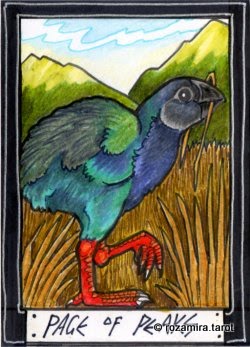New Zealand Naturally Tarot