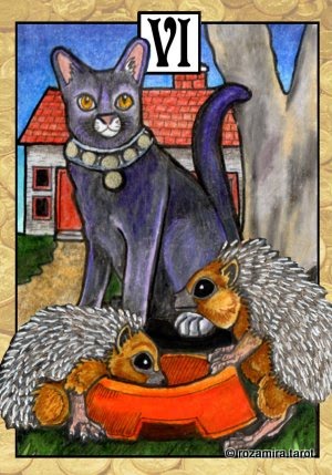 New Zealand Naturally Tarot