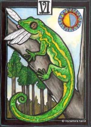 New Zealand Naturally Tarot