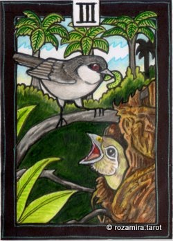 New Zealand Naturally Tarot