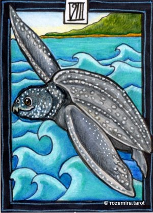 New Zealand Naturally Tarot