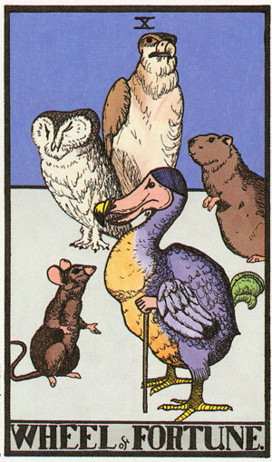 The Wonderland Tarot