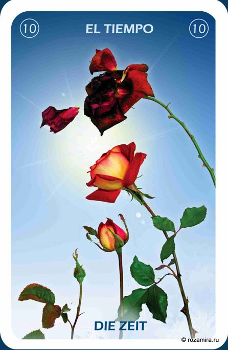 Individuum Universal Tarot