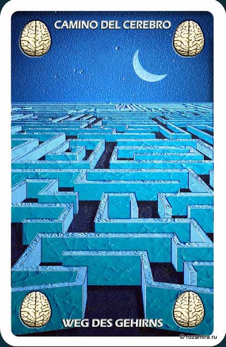 Individuum Universal Tarot