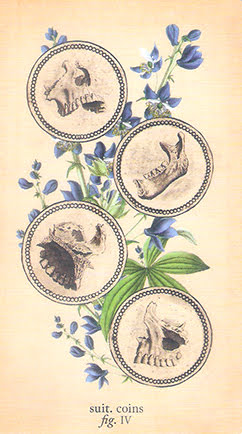 Antique Anatomy Tarot