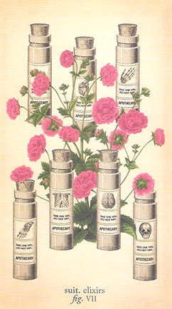 Antique Anatomy Tarot