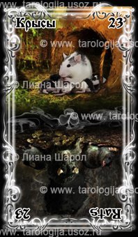 Оракул Ленорман «Лунный свет»