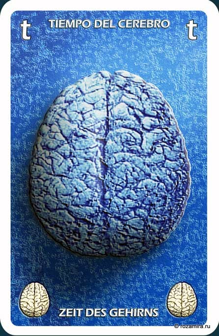 Individuum Universal Tarot