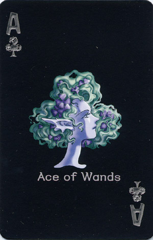 MidNight Tarot – The Namoo tarot