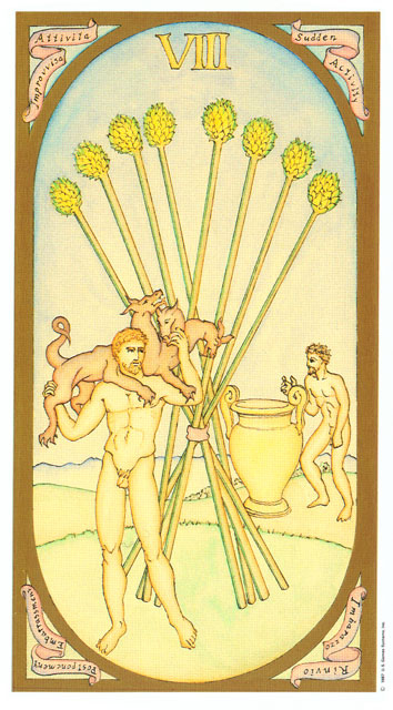 Renaissance Tarot Classical by Brian Williams