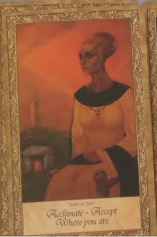 Art Through the Starstream Oracle