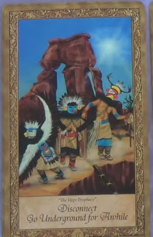 Art Through the Starstream Oracle